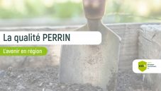 Miniature Perrin